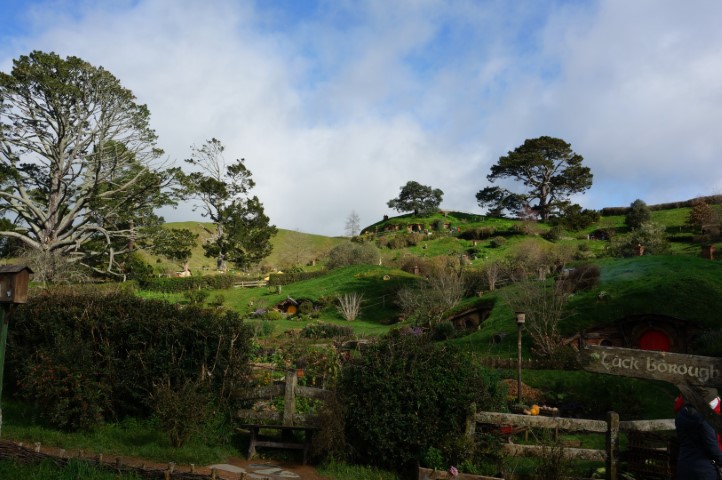 Picture overlooking Hobbiton