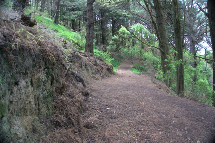 Picture of a step hill with small road at it's foot
